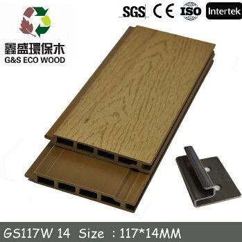 Anti pannelli di parete della putrefazione WPC di malleabilità rivestimento composito di plastica di legno della parete di 22mm x di 146